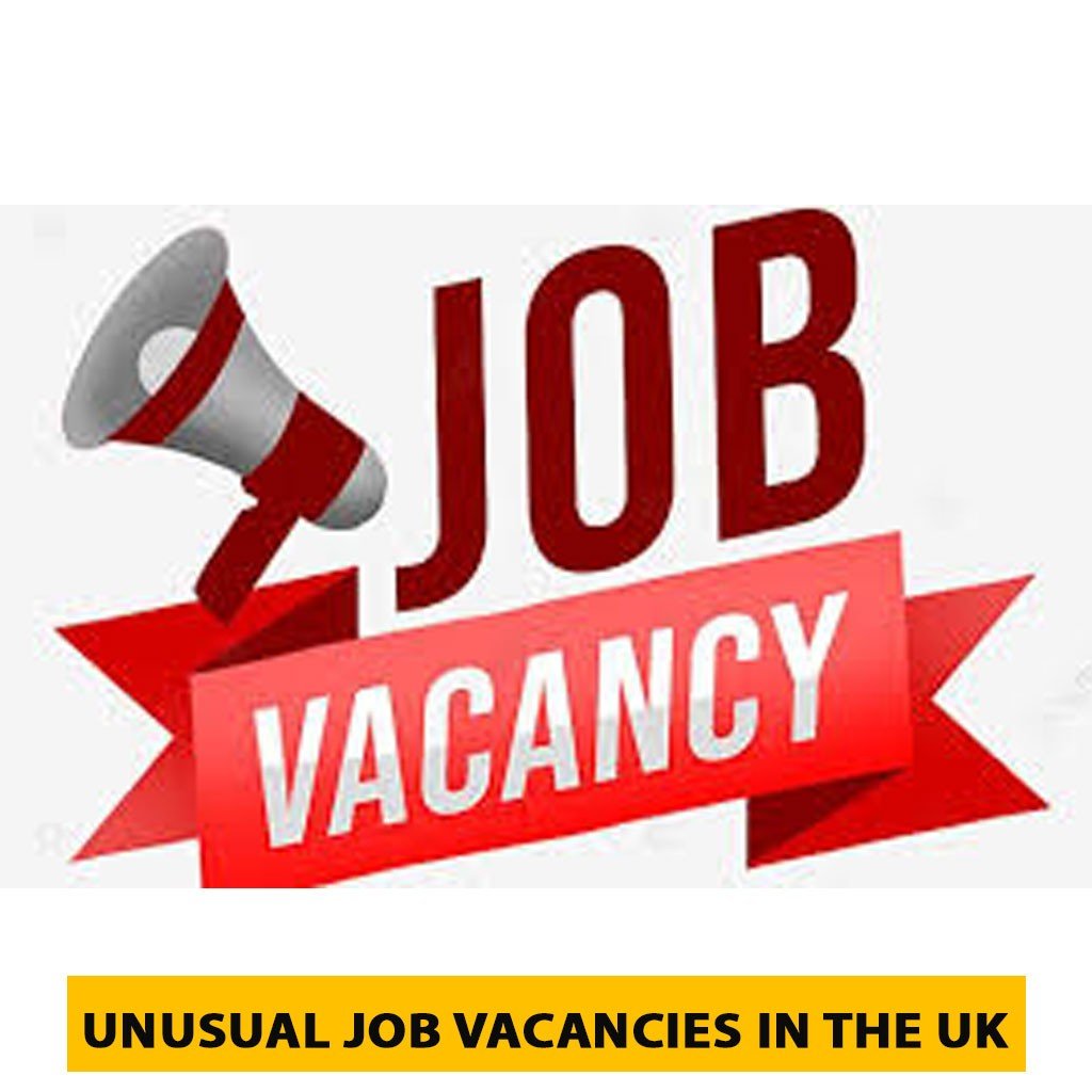 Step by Step Guide to Finding Unusual Job Vacancies in the UK Pakrozee Job | Sarkari Result,Sarkari Exam ,Sarkari Naukri,Sarkari