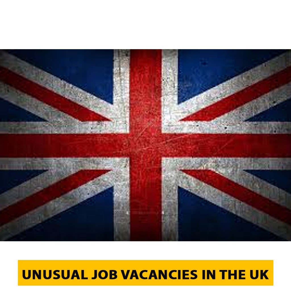 Unusual Job Vacancies in the UK Pakrozee Job | Sarkari Result,Sarkari Exam ,Sarkari Naukri,Sarkari