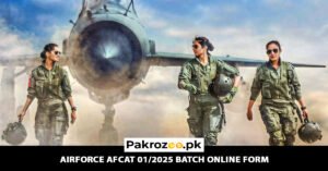 Airforce AFCAT 01/2025 Batch Online Form 2024 | Airforce AFCAT Recruitment 2024