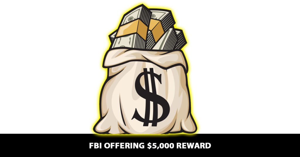 How the Reward Works